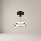 Modern pendant light with two circular designs on a neutral background