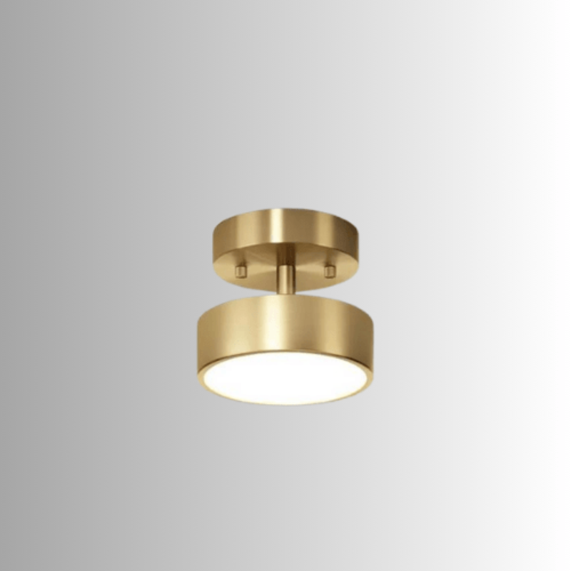 Adjustable LED Ceiling Light - Customizable Rotating Illumination 0