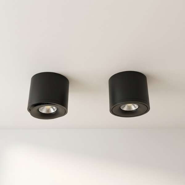 Two black cylindrical ceiling lights on a white ceiling.