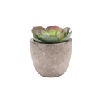 Artificial Succulent Plant - Realistic Faux Greenery for Indoor Decor 0