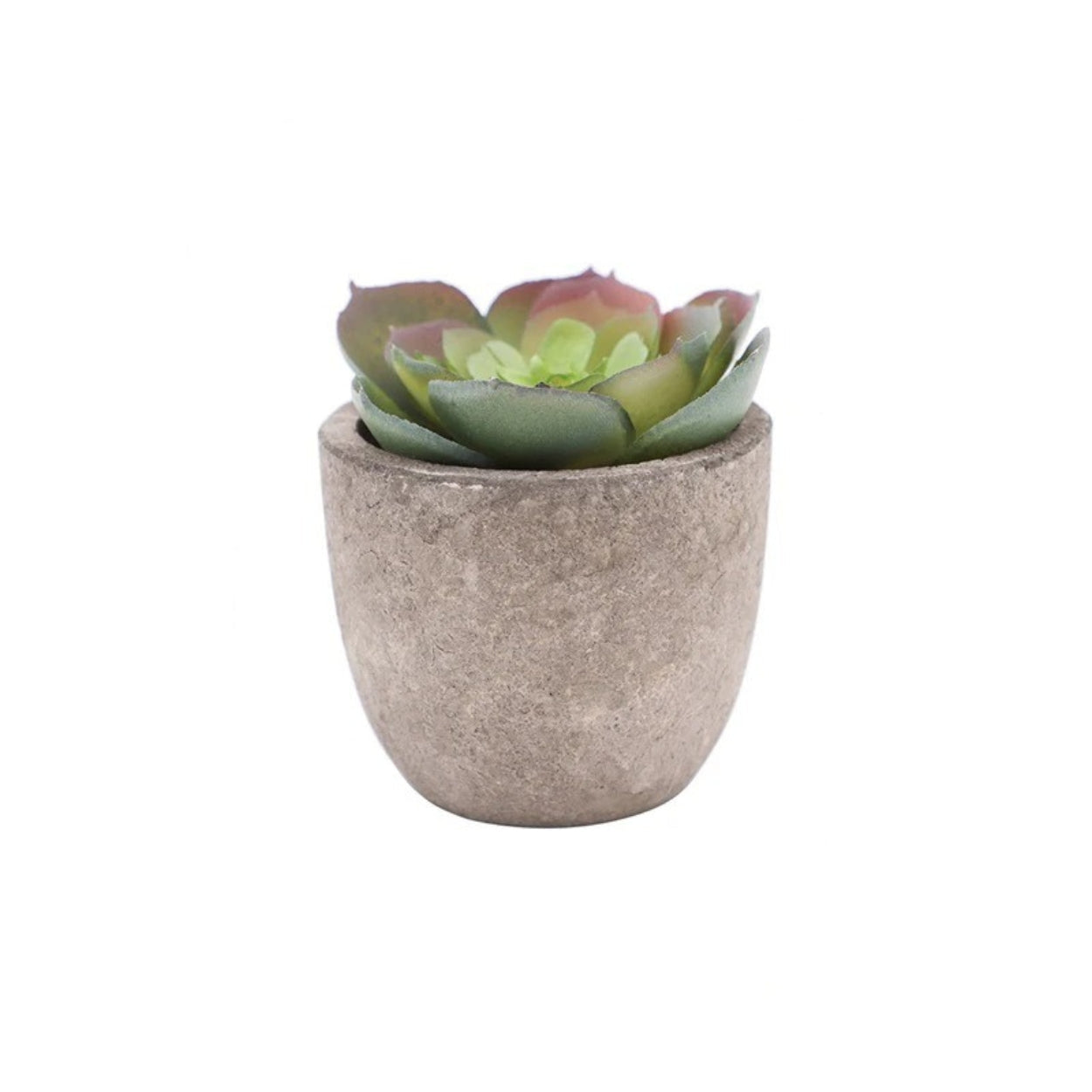 Artificial Succulent Plant - Realistic Faux Greenery for Indoor Decor 0
