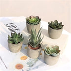 Artificial Succulent Plant - Realistic Faux Greenery for Indoor Decor 5