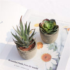 Artificial Succulent Plant - Realistic Faux Greenery for Indoor Decor 6