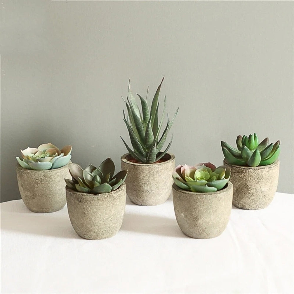 Artificial Succulent Plant - Realistic Faux Greenery for Indoor Decor 8