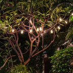 Black Solar String Lights Outdoor - Weatherproof, Minimalist Design, 10-30 LEDs 8