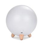 Cordless Cat Bedside Lamp - Soft Glow & Touch Control for Kids 5