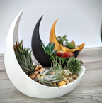 Crescent Moon Planter - Elegant Ceramic Plant Pot for Succulents & Air Plants 1