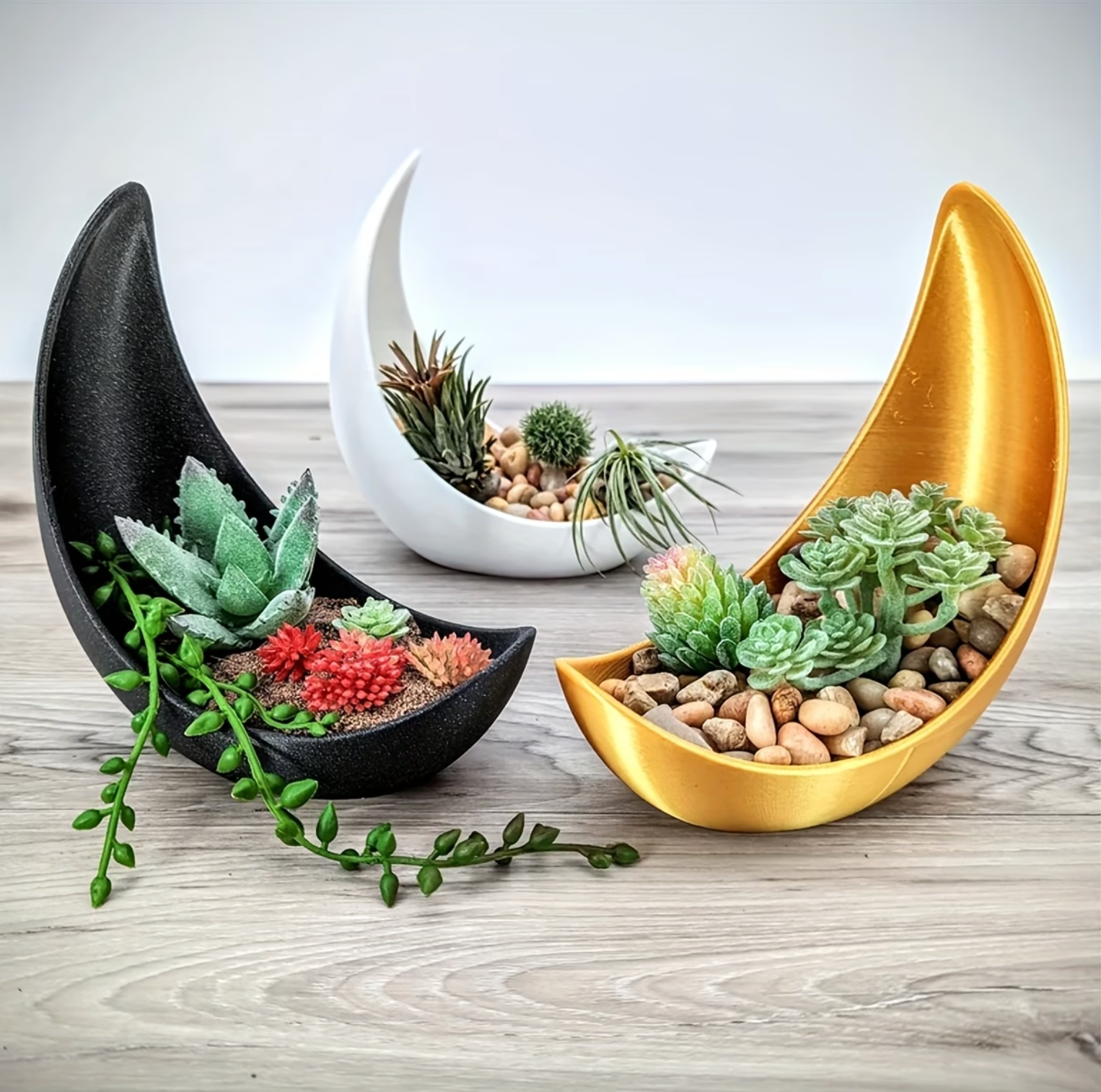 Crescent Moon Planter - Elegant Ceramic Plant Pot for Succulents & Air Plants 2
