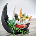 Crescent Moon Planter - Elegant Ceramic Plant Pot for Succulents & Air Plants 3