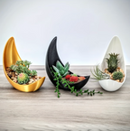 Crescent Moon Planter - Elegant Ceramic Plant Pot for Succulents & Air Plants 4