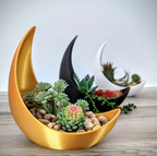 Crescent Moon Planter - Elegant Ceramic Plant Pot for Succulents & Air Plants 5