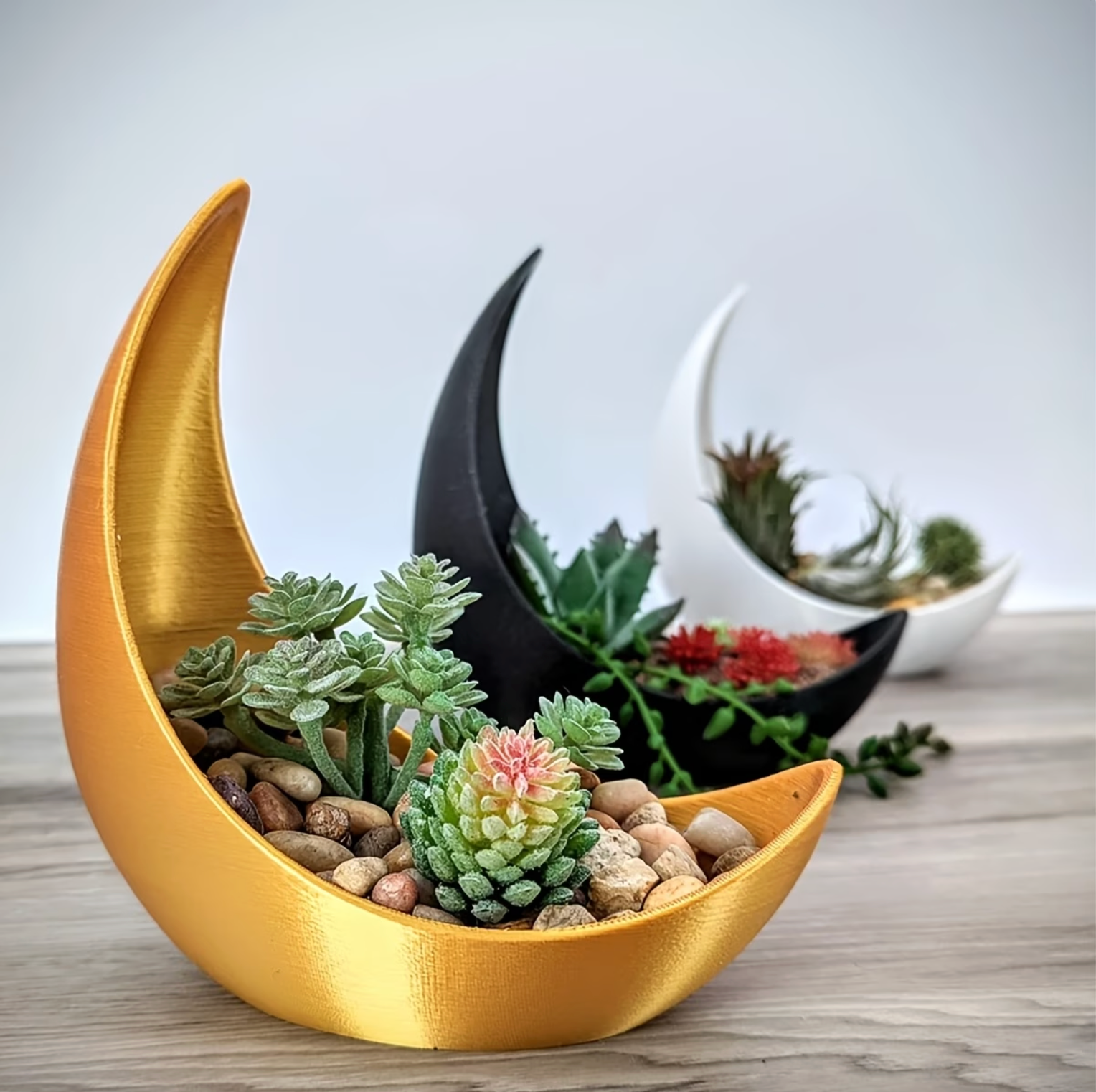 Crescent Moon Planter - Elegant Ceramic Plant Pot for Succulents & Air Plants 5