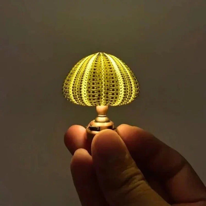 DIY Sea Urchin Night Lamp - Unique Design for Ambient Lighting 4