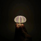 DIY Sea Urchin Night Lamp - Unique Design for Ambient Lighting 5