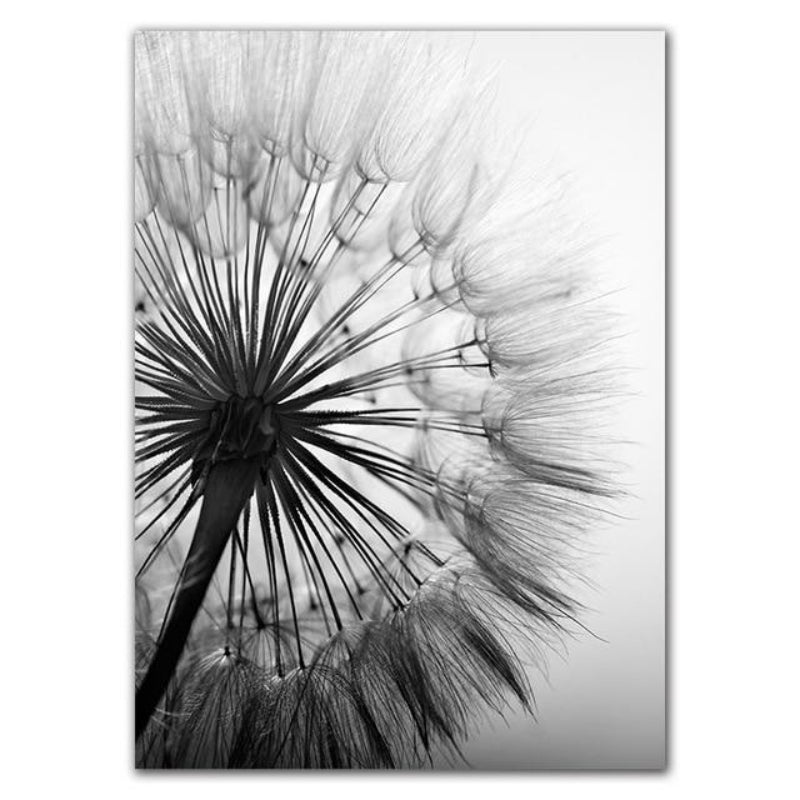Dandelion Canvas Prints - Elegant Wall Art for Tranquil Home Decor 0