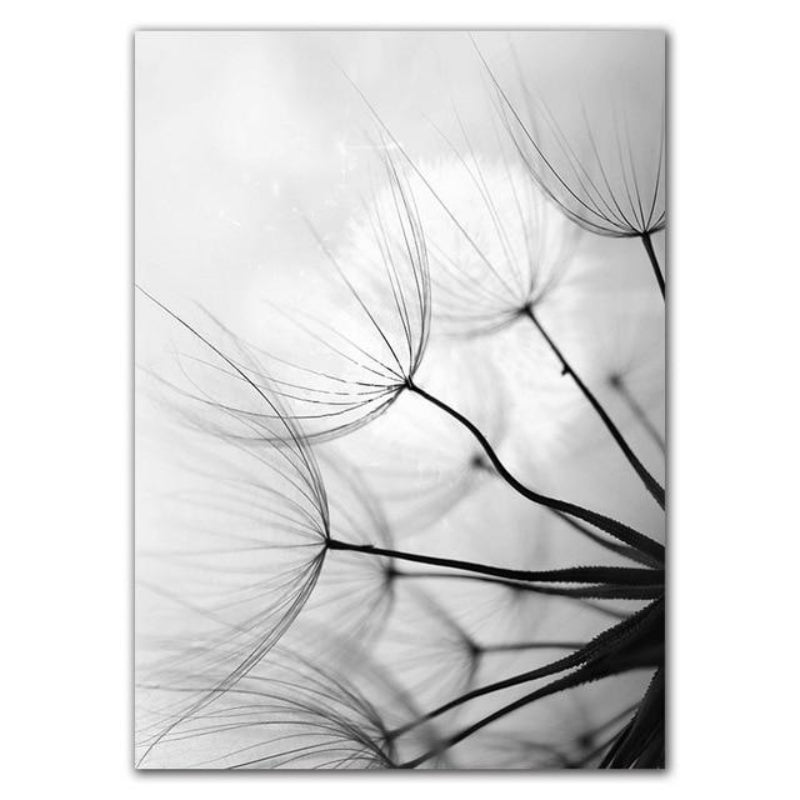 Dandelion Canvas Prints - Elegant Wall Art for Tranquil Home Decor 1