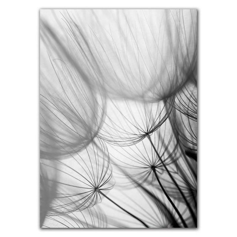 Dandelion Canvas Prints - Elegant Wall Art for Tranquil Home Decor 3