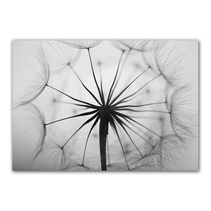 Dandelion Canvas Prints - Elegant Wall Art for Tranquil Home Decor 4