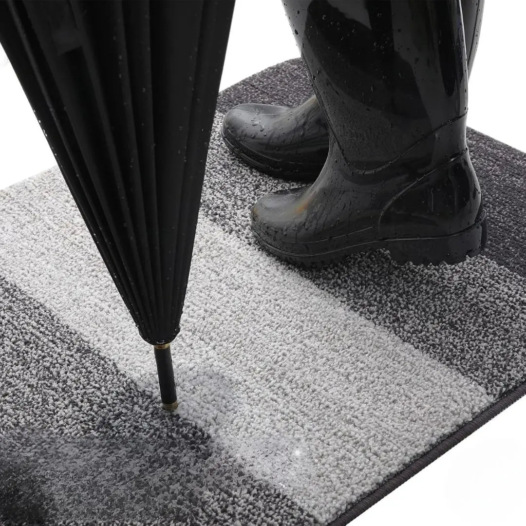 Doormat - Water-Repellent, Non-Slip Indoor Welcome Mat 3
