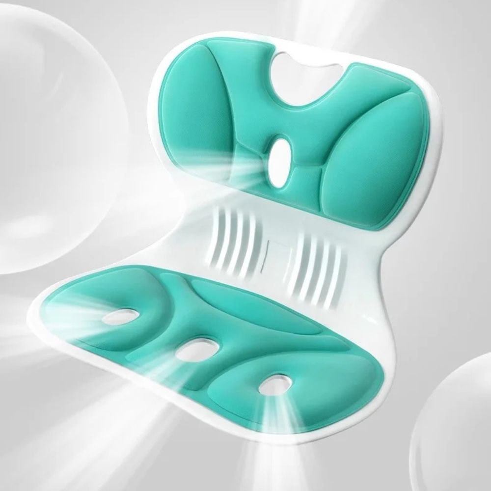 Ergonomic Back Support Pillow - Lumbar Support for Car & Chair 2