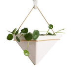 Geometric Glass Terrarium - Modern Display for Succulent Plants 0