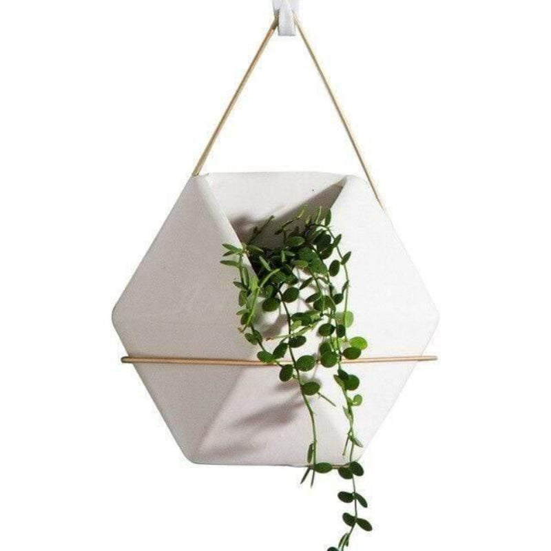 Geometric Glass Terrarium - Modern Display for Succulent Plants 3
