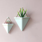 Geometric Terrarium Wall Hanging Display for Succulents and Air Plants 1