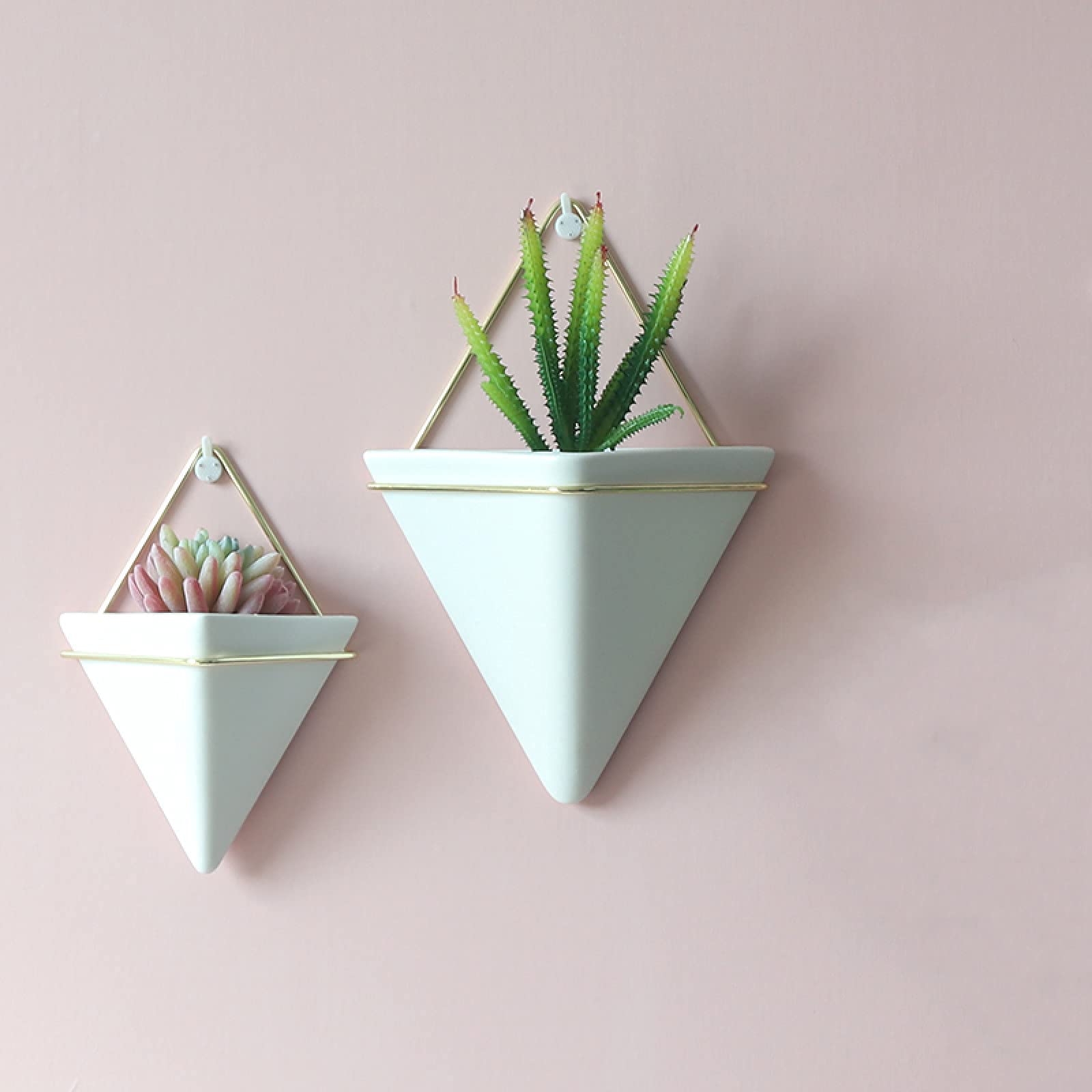 Geometric Terrarium Wall Hanging Display for Succulents and Air Plants 1