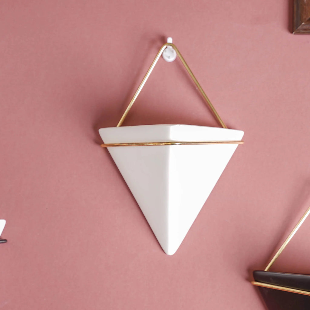 Geometric Terrarium Wall Hanging Display for Succulents and Air Plants 2