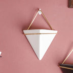 Geometric Terrarium Wall Hanging Display for Succulents and Air Plants 2