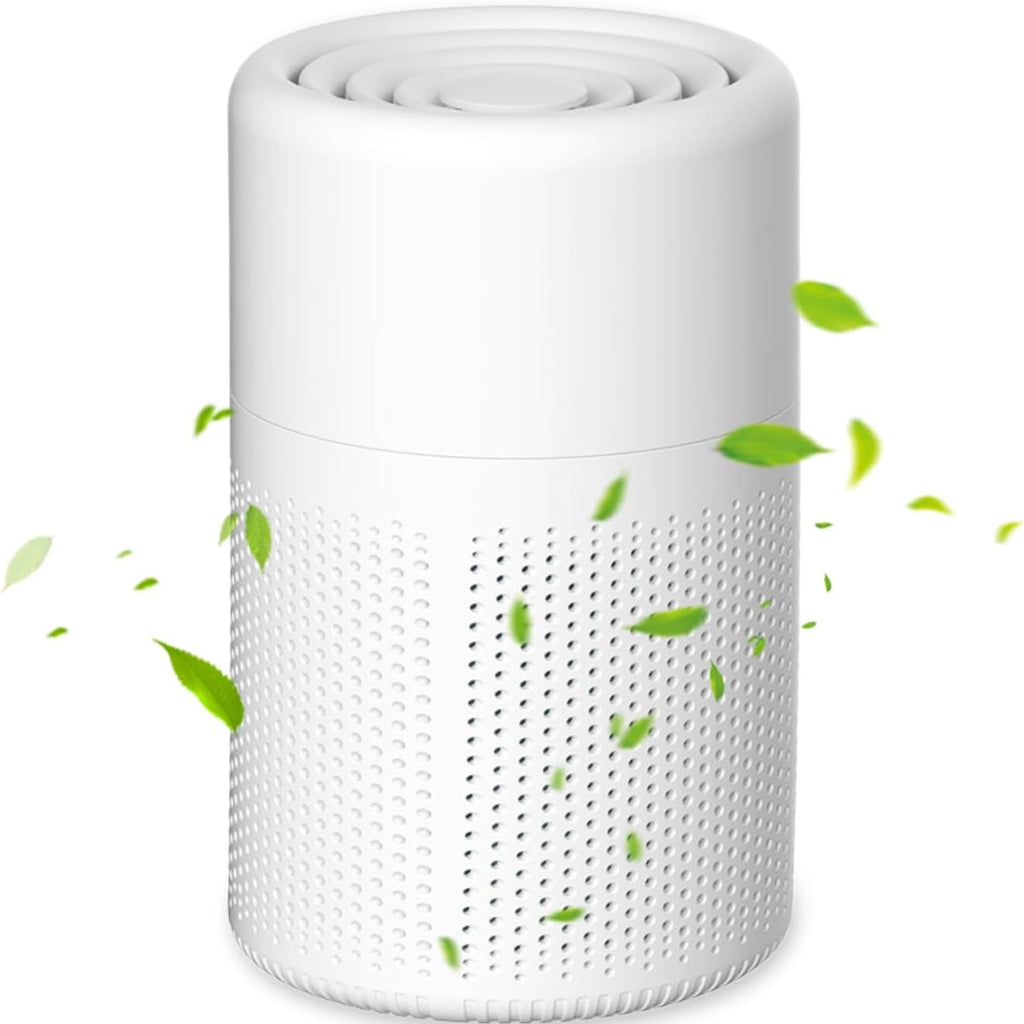 HEPA Air Purifier - Best Air Filter for Home with Quiet Operation 0