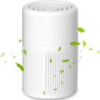 HEPA Air Purifier - Best Air Filter for Home with Quiet Operation 0