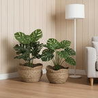 Handwoven Rattan Planter - Boho & Scandinavian Style Plant Pot 1