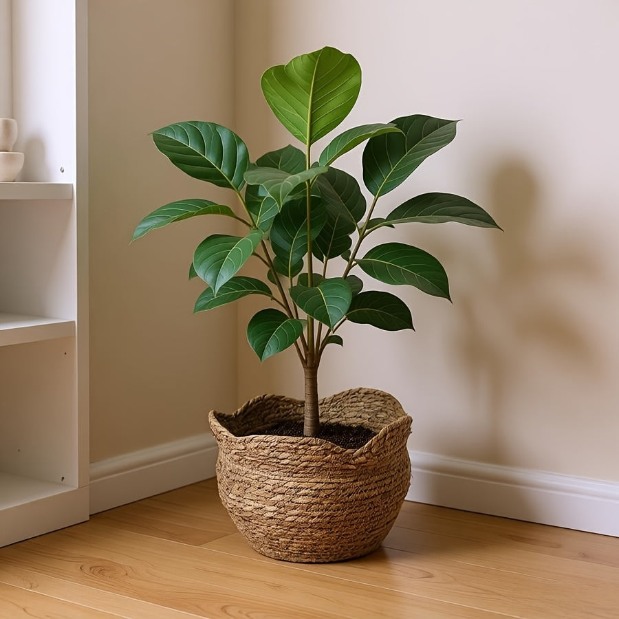 Handwoven Rattan Planter - Boho & Scandinavian Style Plant Pot 4