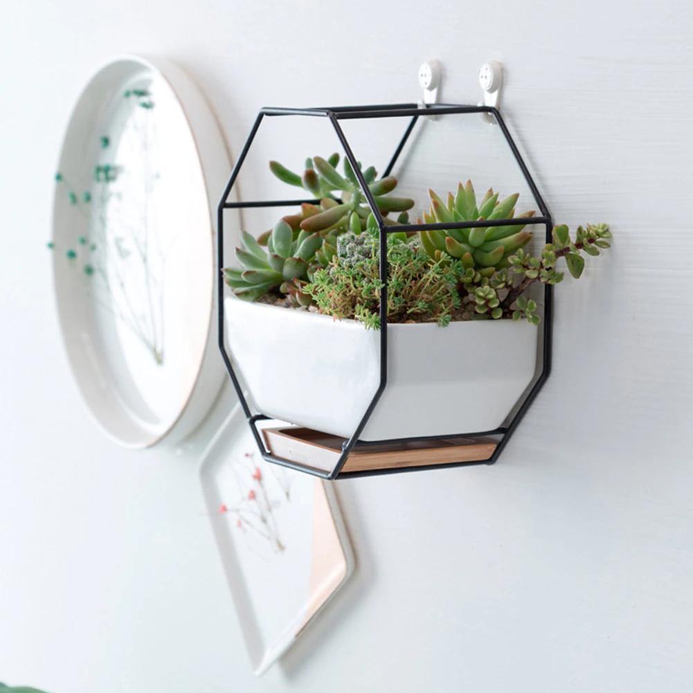 Hexa Frame Wall Planter - Stylish Indoor Wall Hanging Planters with Durable Design 0