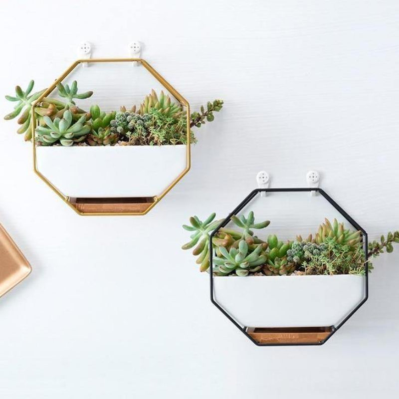 Hexa Frame Wall Planter - Stylish Indoor Wall Hanging Planters with Durable Design 1