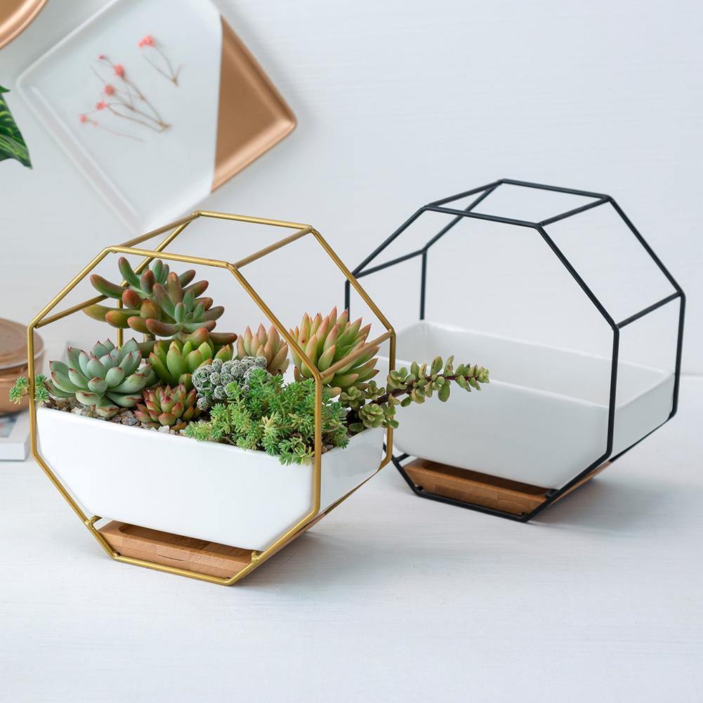Hexa Frame Wall Planter - Stylish Indoor Wall Hanging Planters with Durable Design 2