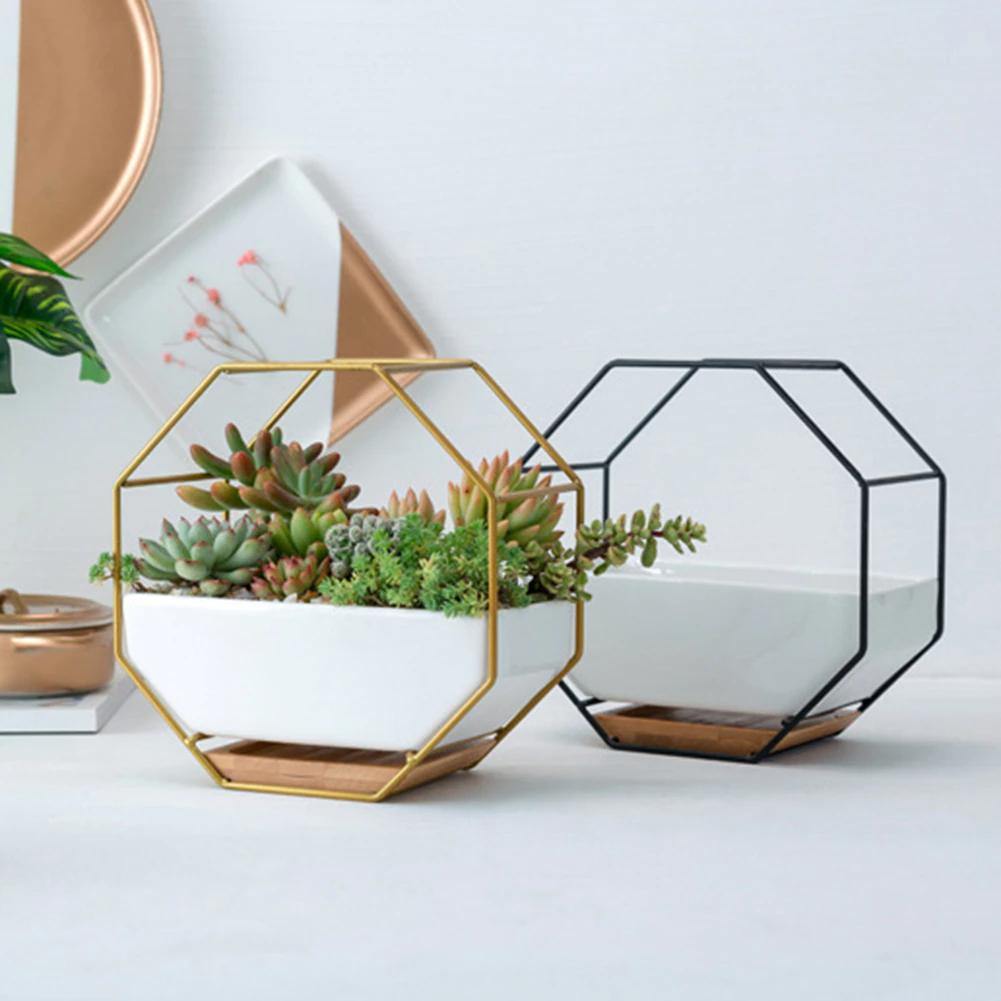 Hexa Frame Wall Planter - Stylish Indoor Wall Hanging Planters with Durable Design 3