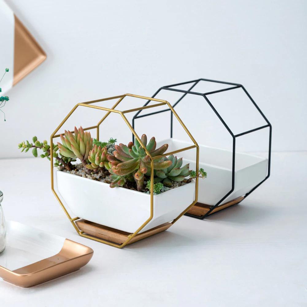 Hexa Frame Wall Planter - Stylish Indoor Wall Hanging Planters with Durable Design 4