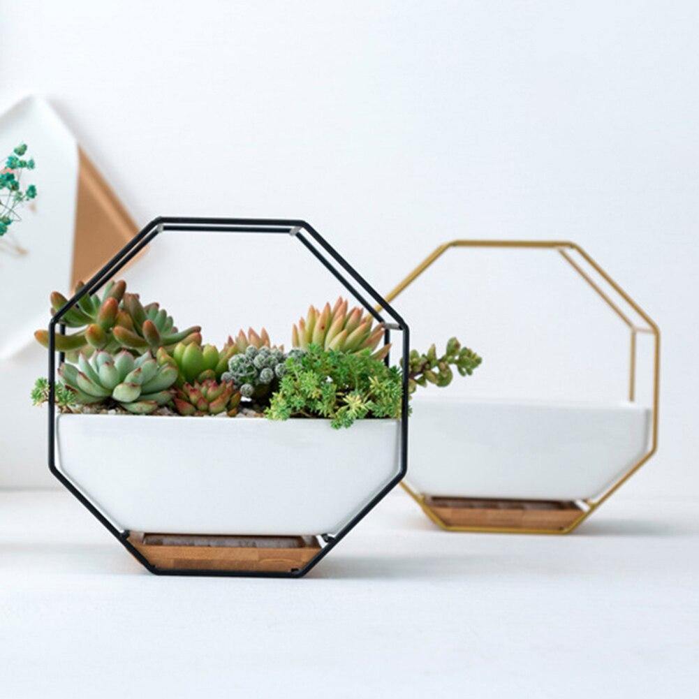 Hexa Frame Wall Planter - Stylish Indoor Wall Hanging Planters with Durable Design 5