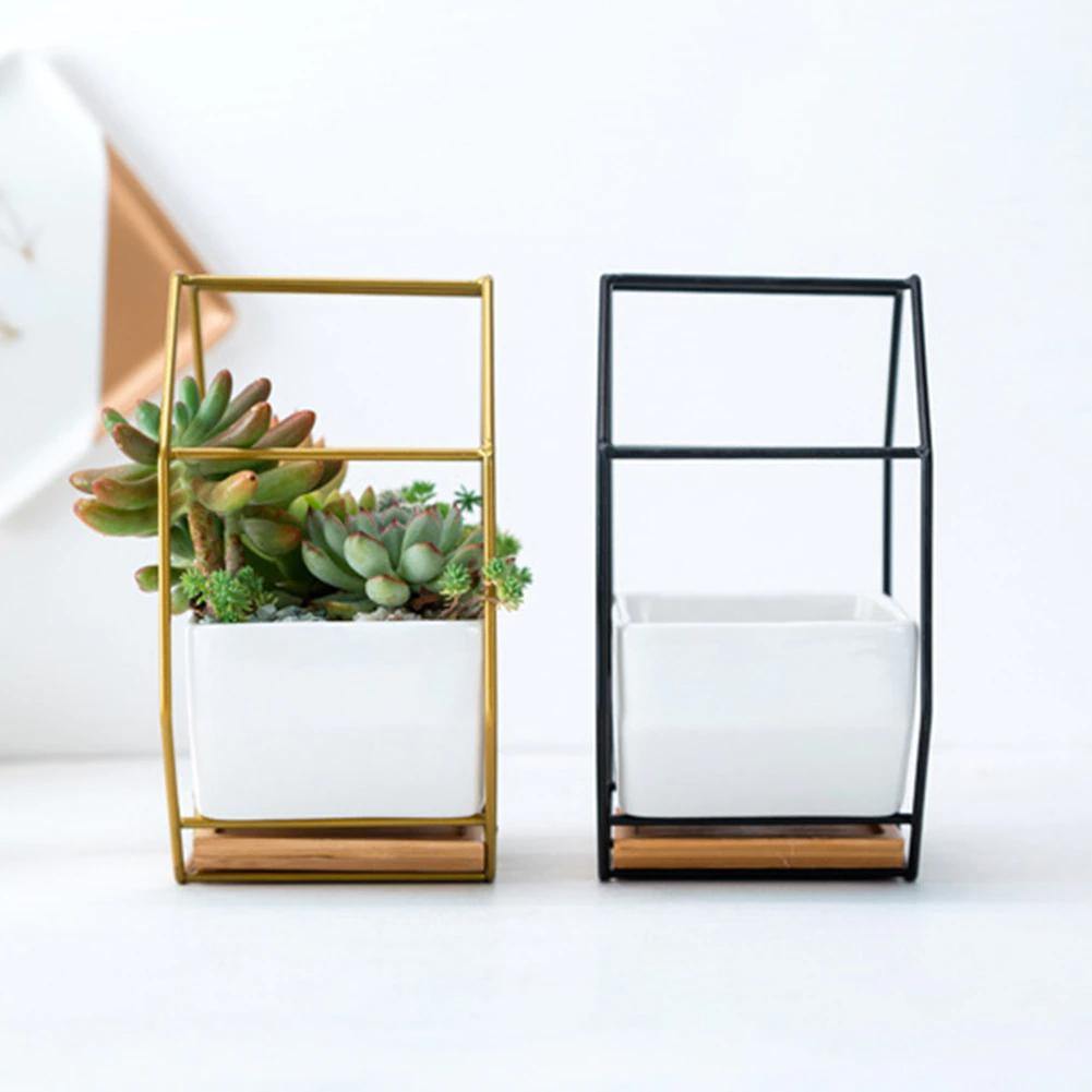 Hexa Frame Wall Planter - Stylish Indoor Wall Hanging Planters with Durable Design 6