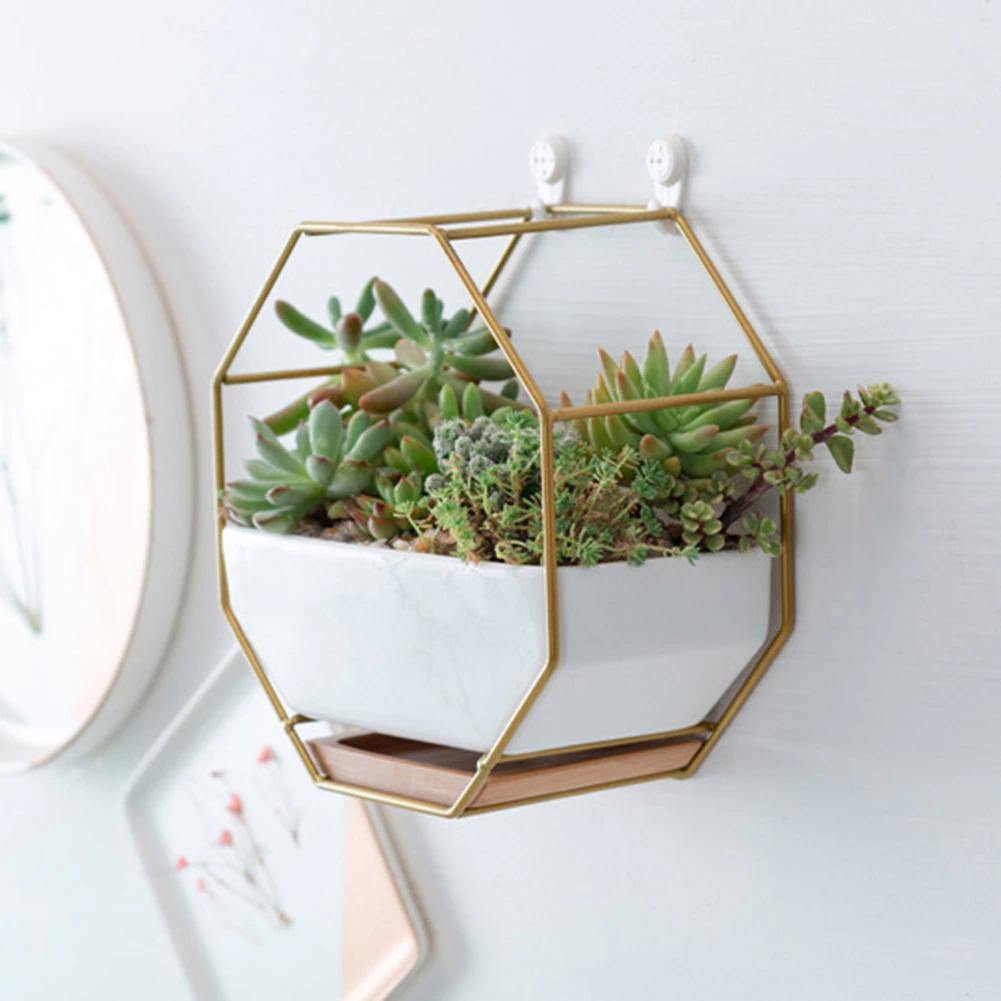 Hexa Frame Wall Planter - Stylish Indoor Wall Hanging Planters with Durable Design 9