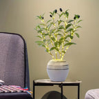 Illuminated Olive Branch Decor with 120 Warm-White LEDs – Handcrafted Flexible Design for Enchanting Ambience 2