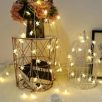 LED String Lights - Warm White & Multicolor for Indoor/Outdoor Use 6