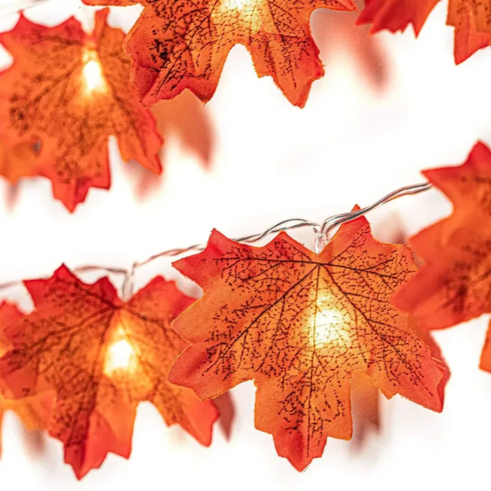 Maple Leaf String Lights - Warm LED Glow for Outdoor Fall Decor, 2M-6M 4