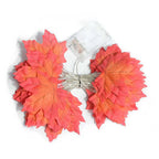 Maple Leaf String Lights - Warm LED Glow for Outdoor Fall Decor, 2M-6M 6