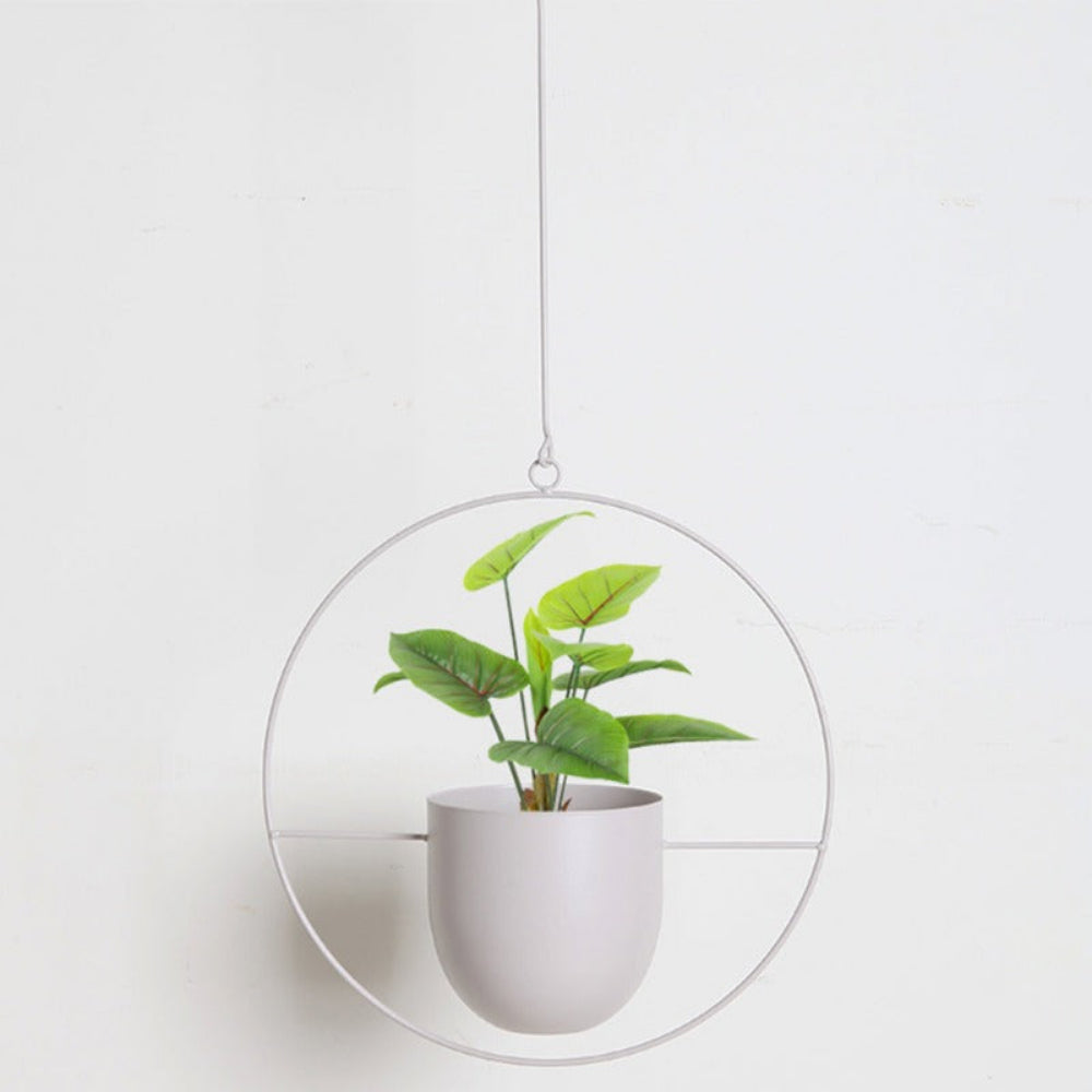 Metal Hanging Plant Holder - Durable Wall Hanging Planters for Indoor & Outdoor Use 0