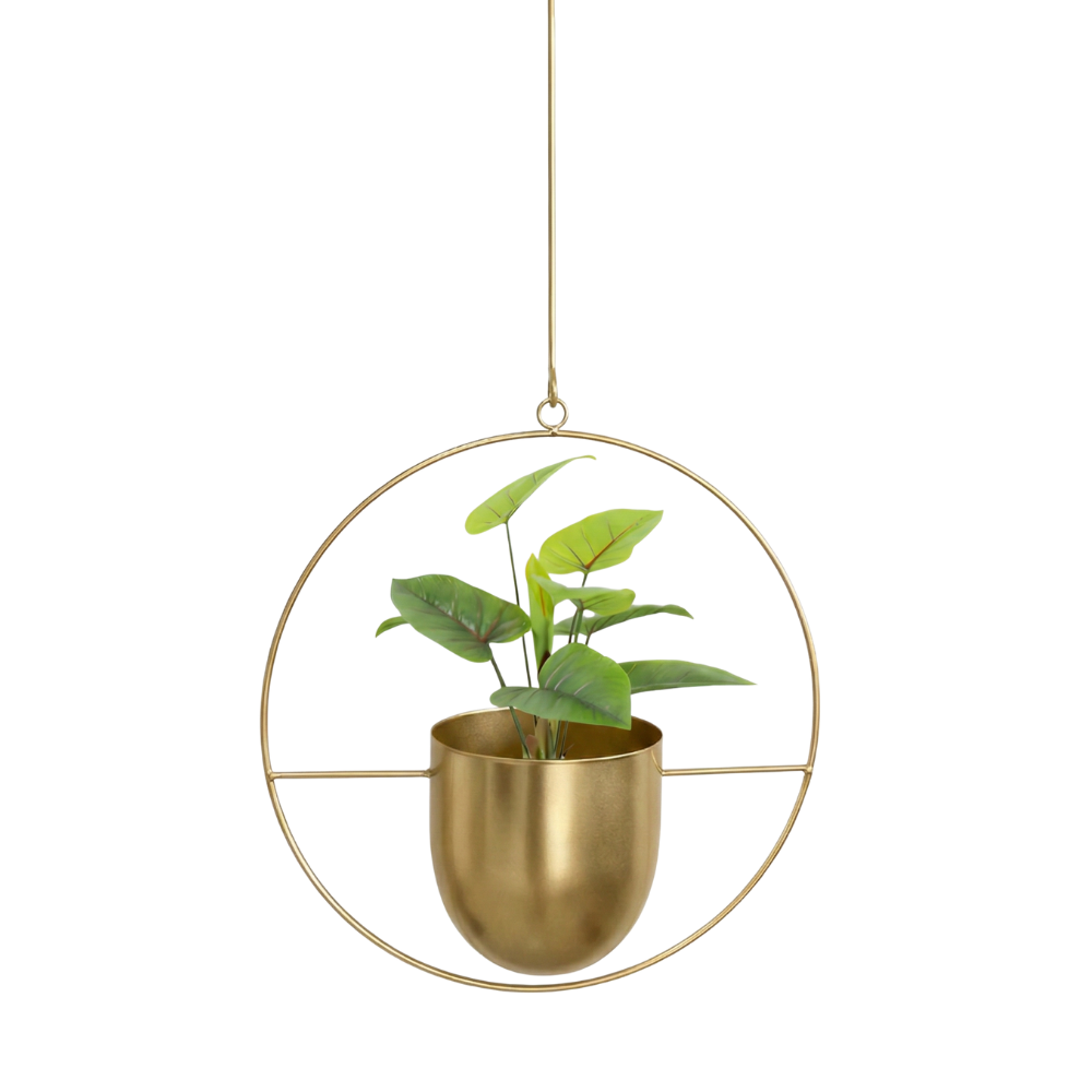 Metal Hanging Plant Holder - Durable Wall Hanging Planters for Indoor & Outdoor Use 10