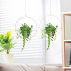 Metal Hanging Plant Holder - Durable Wall Hanging Planters for Indoor & Outdoor Use 2