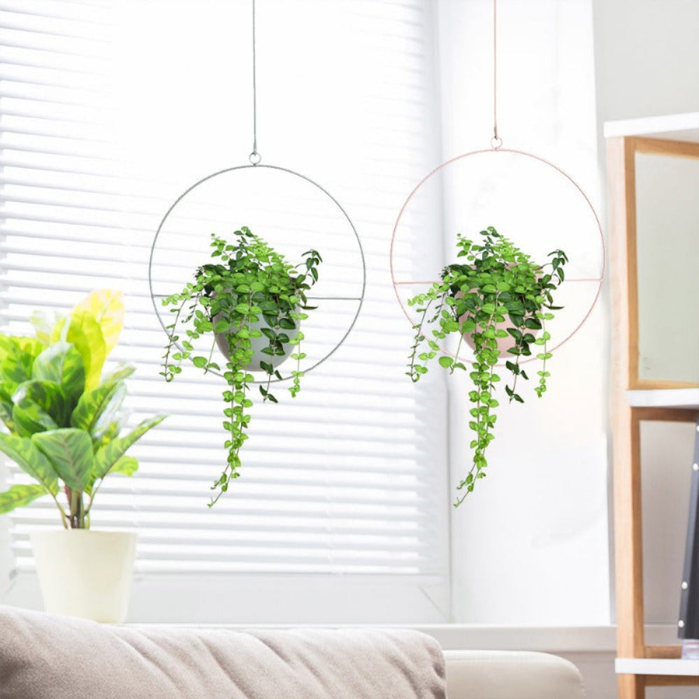 Metal Hanging Plant Holder - Durable Wall Hanging Planters for Indoor & Outdoor Use 2